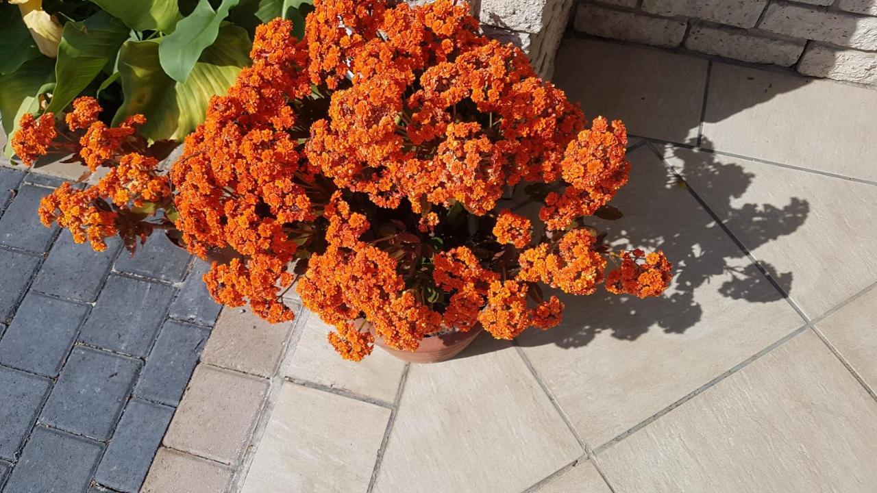 Besigheim Bed & Breakfast Стеленбош Екстериор снимка